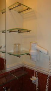 a bathroom with a toilet and some glass shelves at StadtHotel Passau in Passau