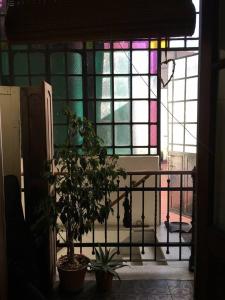 ブエノスアイレスにあるLa Boca B&Bの鉢植えの植物とステンドグラスの窓が備わる部屋