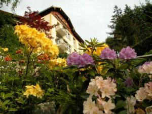Zahrada ubytování Hotel Alpenblick