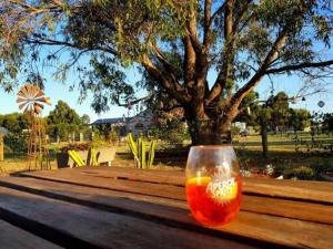 a glass of orange liquid sitting on a wooden table at Nutcrackers Lodge in Esperance