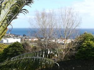 ポンタ・デルガダにあるFamily Holiday Villa Vacation Ponta Delgadaのヤシの木から海を望む