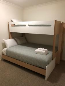 a bunk bed in a room with a bunk bed frame at Lifestyle Apartments at Ferntree in Fern Tree Gully