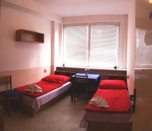 a bedroom with two beds and a window at Hostel Modrá in Prague