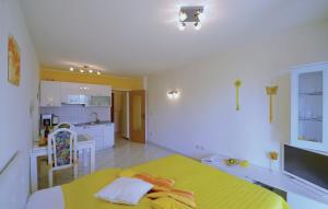 Kuchyň nebo kuchyňský kout v ubytování Apartment Rosana