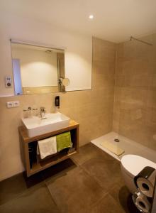 a bathroom with a sink and a toilet and a mirror at Hotel Alp Inn in Ruhpolding