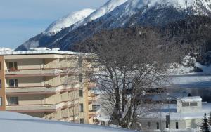 a tree in front of a building with a snow covered mountain at Allod Bad 602 in St. Moritz