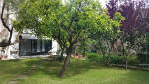 uma árvore no quintal de uma casa em Nel Giardino degli Agrumi em Palermo