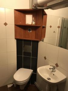 a small bathroom with a toilet and a sink at okuninkapokoje in Okuninka