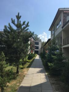 a sidewalk in front of a building with trees at okuninkapokoje in Okuninka