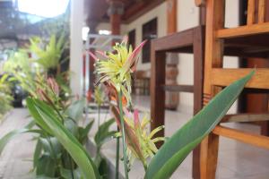 Fotografie z fotogalerie ubytování JS Guest House v destinaci Seminyak