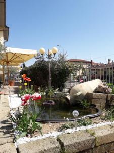 Zahrada ubytování Hotel Scaligero + 22 fotografií