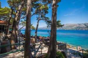 widok na plażę z drzewami i wodą w obiekcie Vacation House Cavtat w mieście Cavtat