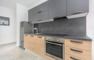Kuchyň nebo kuchyňský kout v ubytování Apartments Katja