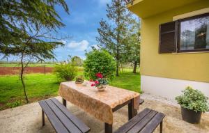 Zahrada ubytování Apartments Katja