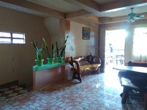a living room with a couch and potted plants at Savta Homestay in Banaue