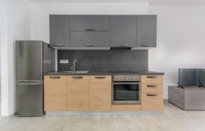 Kuchyň nebo kuchyňský kout v ubytování Apartments Katja