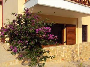 a bush with purple flowers in front of a house at Marvelous Sea View Eco Apt in Ammouliani
