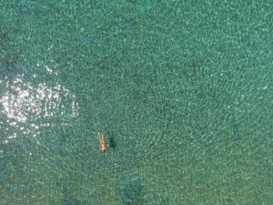 an overhead view of a person swimming in the water at Marvelous Sea View Eco Apt in Ammouliani