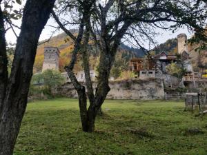 a tree in a field in front of a building at Lagami house in Mestia
