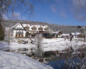 a large house in the snow next to a lake at Seehotel Gut Dürnhof in Rieneck