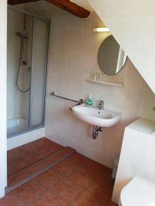 a bathroom with a sink and a shower at Landgasthof "Wirtshaus Zur Eibe" in Jabel