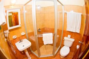 a bathroom with a shower and a toilet and a sink at Villas del Caribe in Puerto Viejo