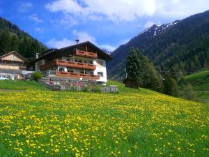 a house on a hill with a field of flowers at Alpegger in Terento