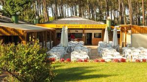 un grupo de sillas y sombrillas frente a un restaurante en Les dunes de contis- landes, en Saint-Julien-en-Born