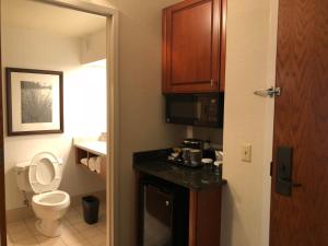 
a bathroom with a toilet, sink, and cabinet at Wyndham Garden Buffalo Downtown in Buffalo
