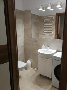 a bathroom with a sink and a toilet and a mirror at Domek przy lesie in Gdańsk