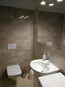 W łazience znajduje się umywalka, toaleta i lustro. w obiekcie Domek przy lesie w Gdańsku