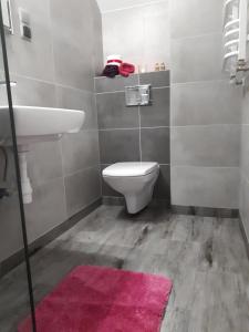 ブワディスワボボにあるStudio 2-pokojowe Magdaのバスルーム(トイレ、シンク、ピンクのラグ付)