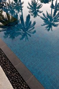 Swimming pool sa o malapit sa Umadewi Surf & Retreat