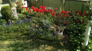 Zahrada ubytování Apartment Giorgi in Sighnaghi