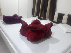 Φωτογραφία από το άλμπουμ του Hotel Arzoo Palace στο Ατζμέρ +24 φωτογραφίες