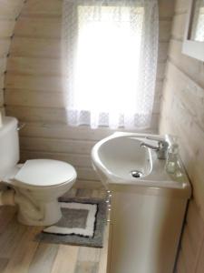 a bathroom with a toilet and a sink at Carrigeen Glamping in Kilkenny
