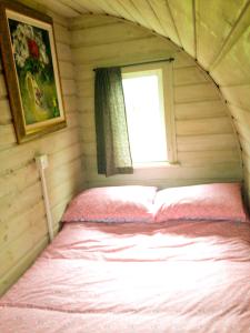 Cama en habitación pequeña con ventana en Carrigeen Glamping, en Kilkenny