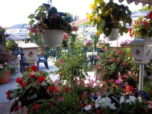 Zahrada ubytování Hotel & Pension Aßmann