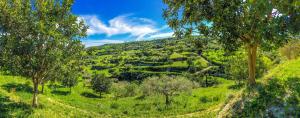 Paesaggio naturale nelle vicinanze dell'appartamento