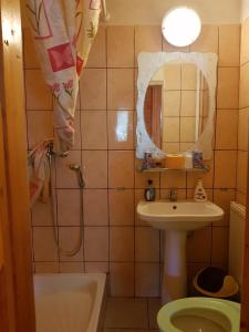 布朗的住宿－步瑞皮伊万娜旅館，浴室配有盥洗盆和带镜子的淋浴