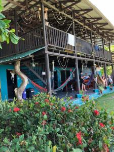 Um jardim no exterior de Luminosa Montezuma Hostel