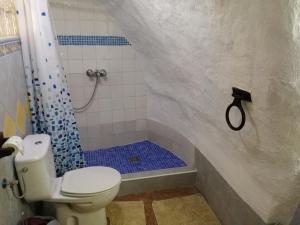 a bathroom with a shower with a toilet and a sink at Cueva Peralta in Cortes de Baza +24 photos