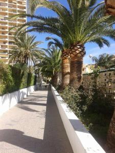 Gallery image of Apartamento PuigVal in El Puig