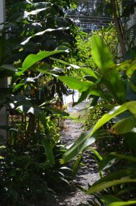 een pad door een tuin met groene planten bij Makmai Villa - Rayong in Ban Phe