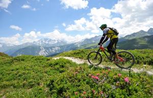 Jízda na kole v ubytování Un été à Courchevel nebo okolí