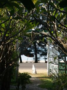 a white dog sitting next to a white fence at Makmai Villa - Rayong in Ban Phe