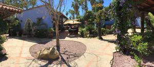 Zahrada ubytování El Encanto Inn & Suites