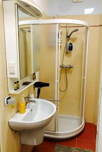 a bathroom with a sink and a shower at Camere Delle Rose in Milan