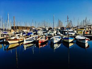 Un tas de bateaux sont amarrés dans un port dans l'établissement Boutique Hotel Couleurs Suds, à Cannes