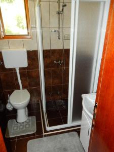 a bathroom with a shower and a toilet and a sink at Apartments Izvor Lisine in Strmosten